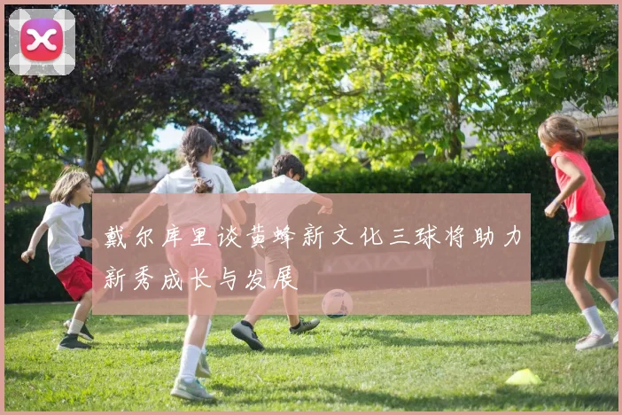 戴尔库里谈黄蜂新文化三球将助力新秀成长与发展